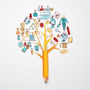 Education Doodle Concept Education doodle concept with research science school icons on pencil tree vector illustration